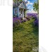 Tło fotograficzne „Lawendowy domek w letnim ogrodzie” | 4208 Tło fotograficzne „Lawendowy domek w letnim ogrodzie” | 4208